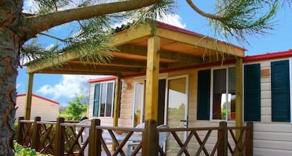 Camp Dole Zivogosce