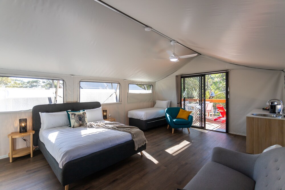 Port Stephens Koala Sanctuary