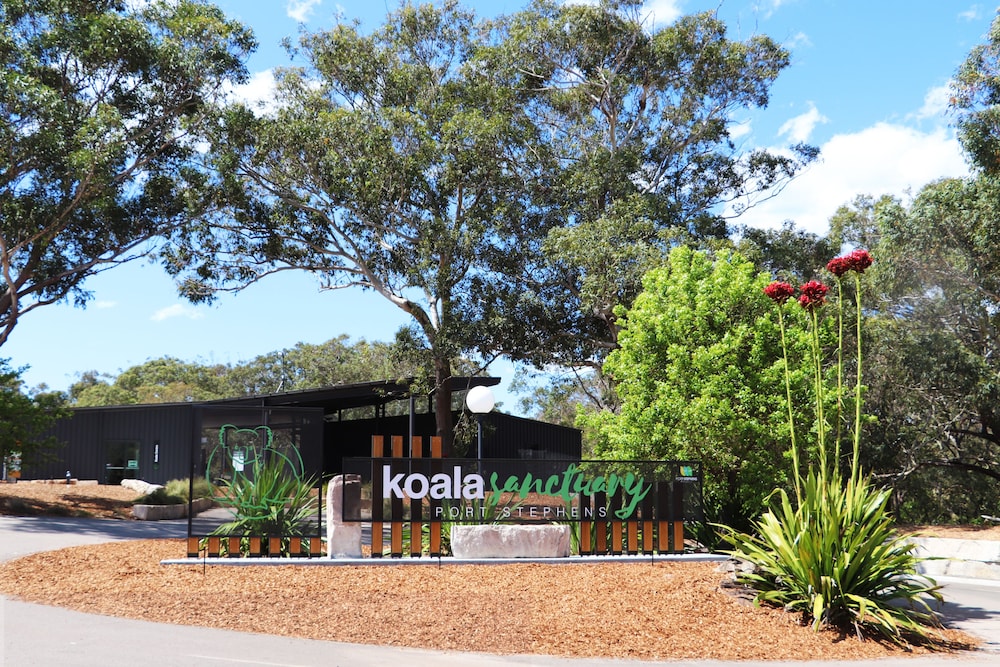 Port Stephens Koala Sanctuary