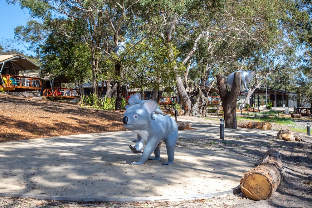 Property grounds, Port Stephens Koala Sanctuary