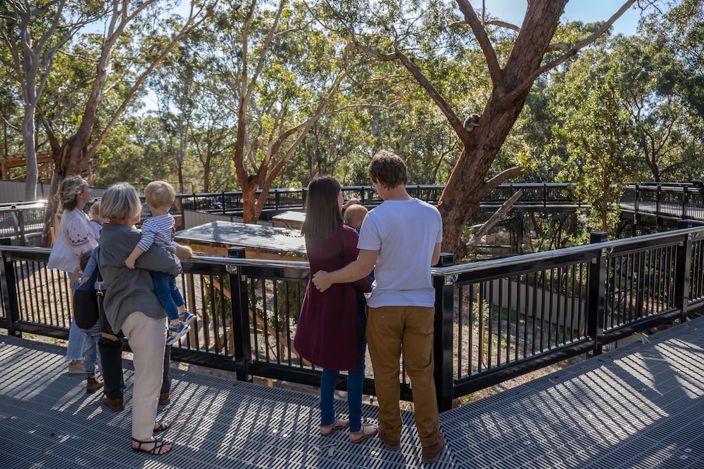 Port Stephens Koala Sanctuary