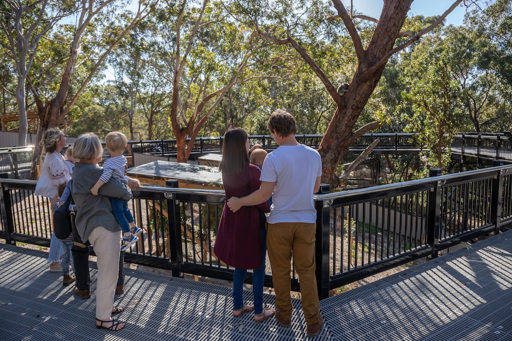 Property grounds, Port Stephens Koala Sanctuary