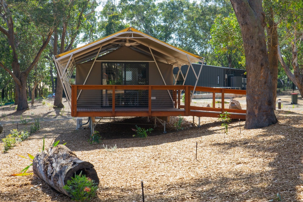 Room, Port Stephens Koala Sanctuary