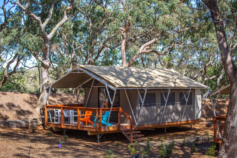 Room, Port Stephens Koala Sanctuary