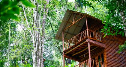 Ella Eco Lodge