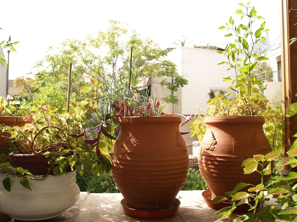 Foto - Acropolis House