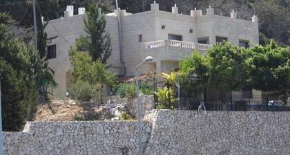 Tamer guest house
