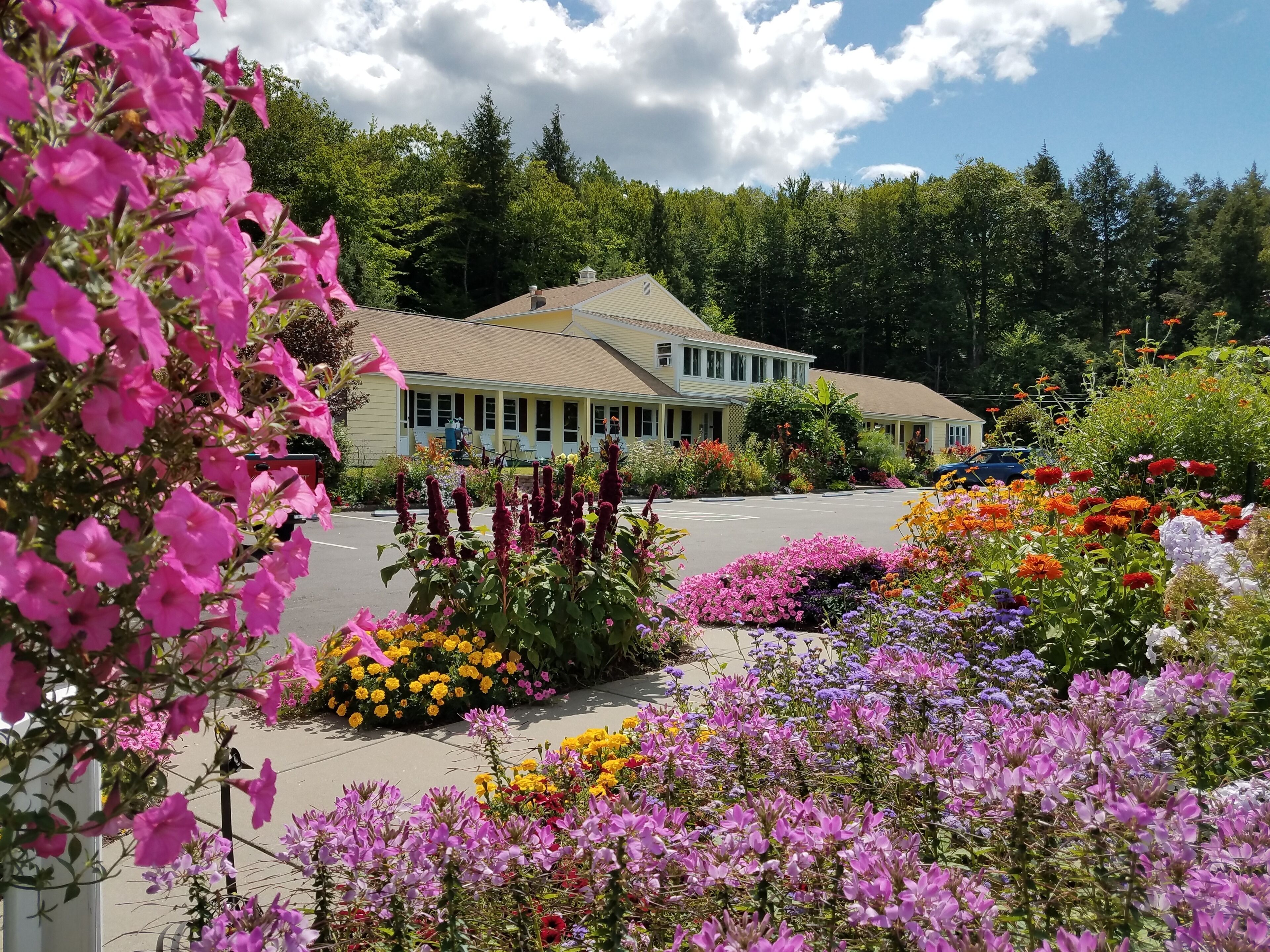 Bay Top Motel in Laconia, United States