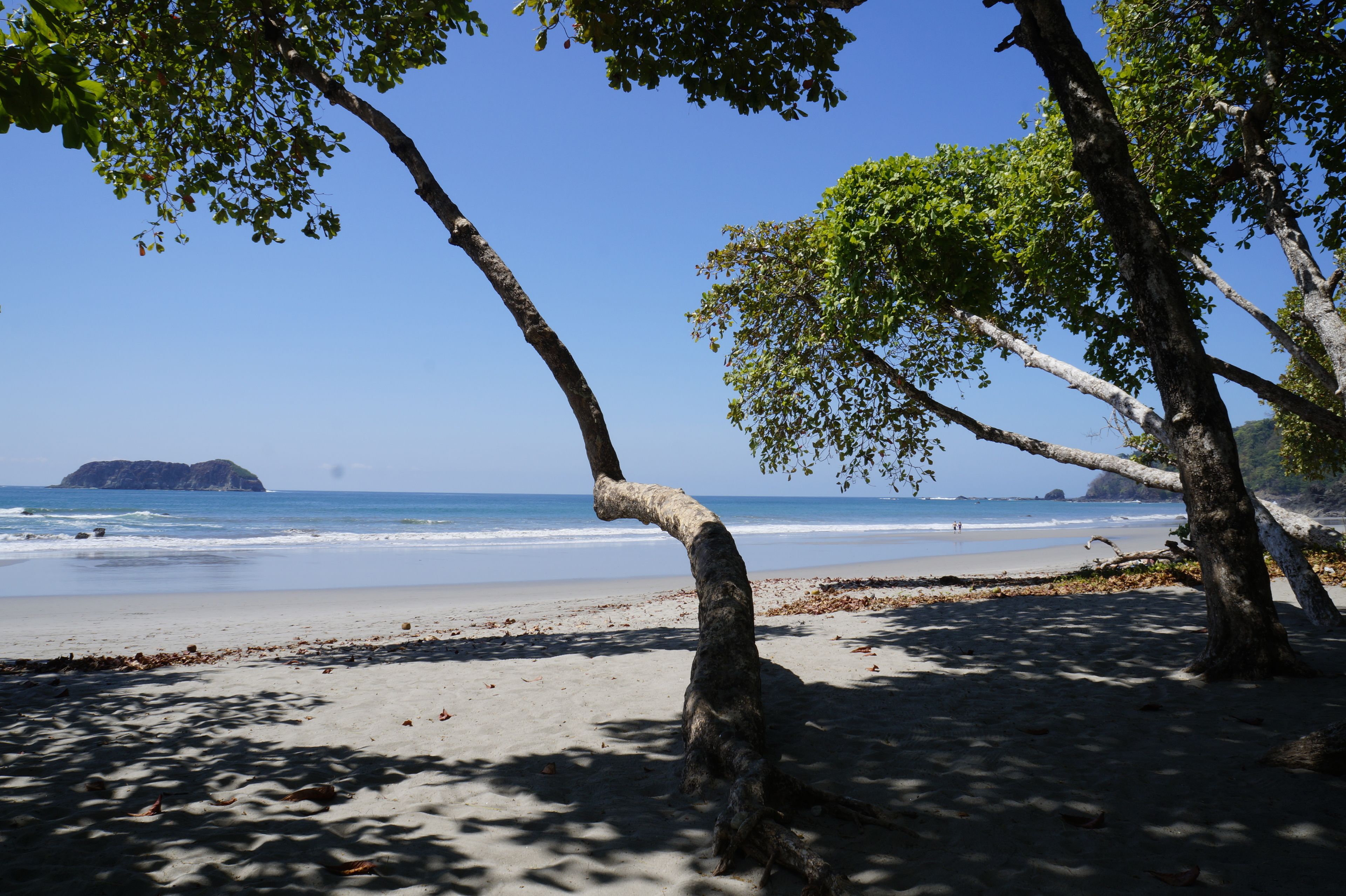 Villas de la Selva in Manuel Antonio, Costa Rica