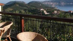 Vista dalla camera