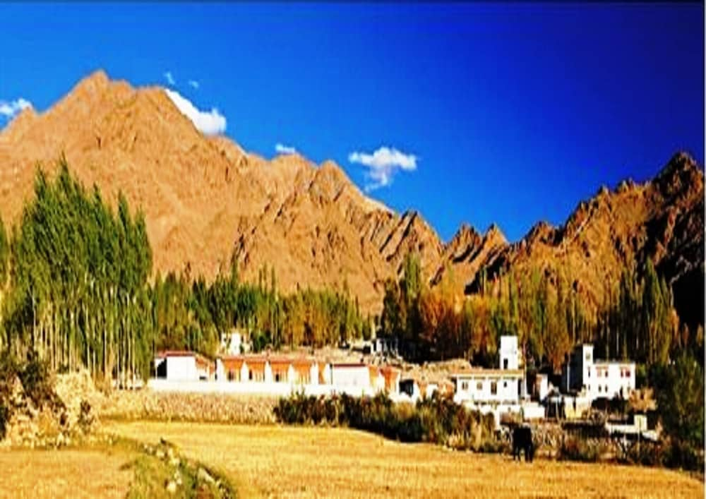 Saboo Resorts In Leh Cheap Hotel Deals Rates Hotel - 