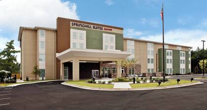Springhill Suites Mobile