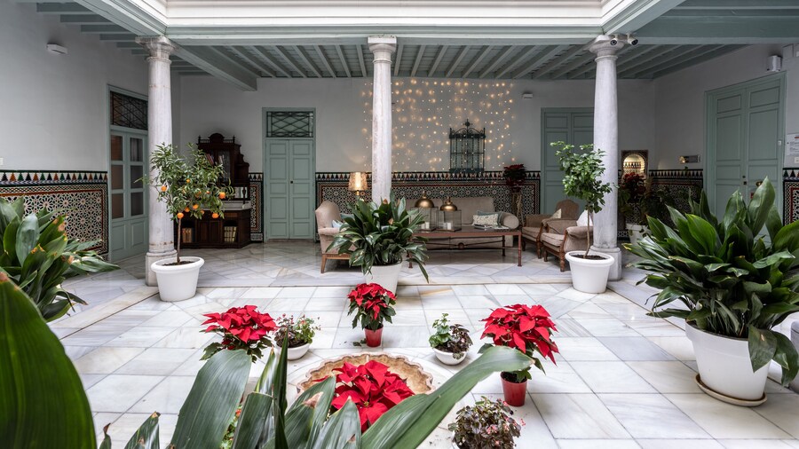 Palacio Cabrera-Lillo Apartamentos