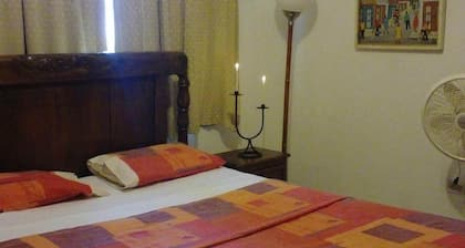 Tropical Bed & Breakfast