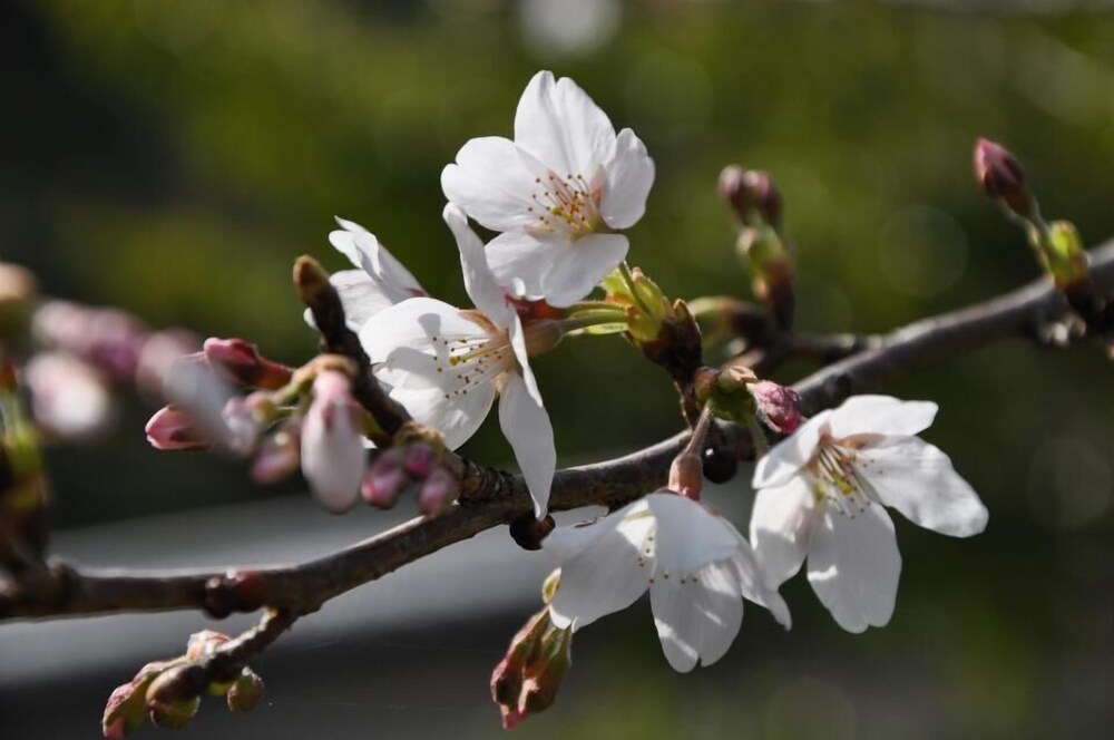 Okumizuma Onsen In Osaka 2019 Limited Time Offer Hotel - 