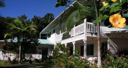 Lava Tree Tropic Inn