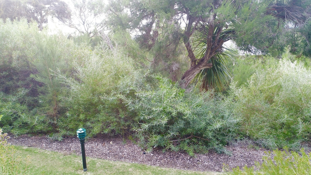 Garden, Margaret River Beach Apartments