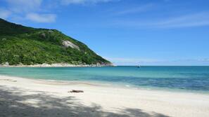 Bãi biển riêng, cát trắng, ghế dài tắm nắng, dù trên bãi biển