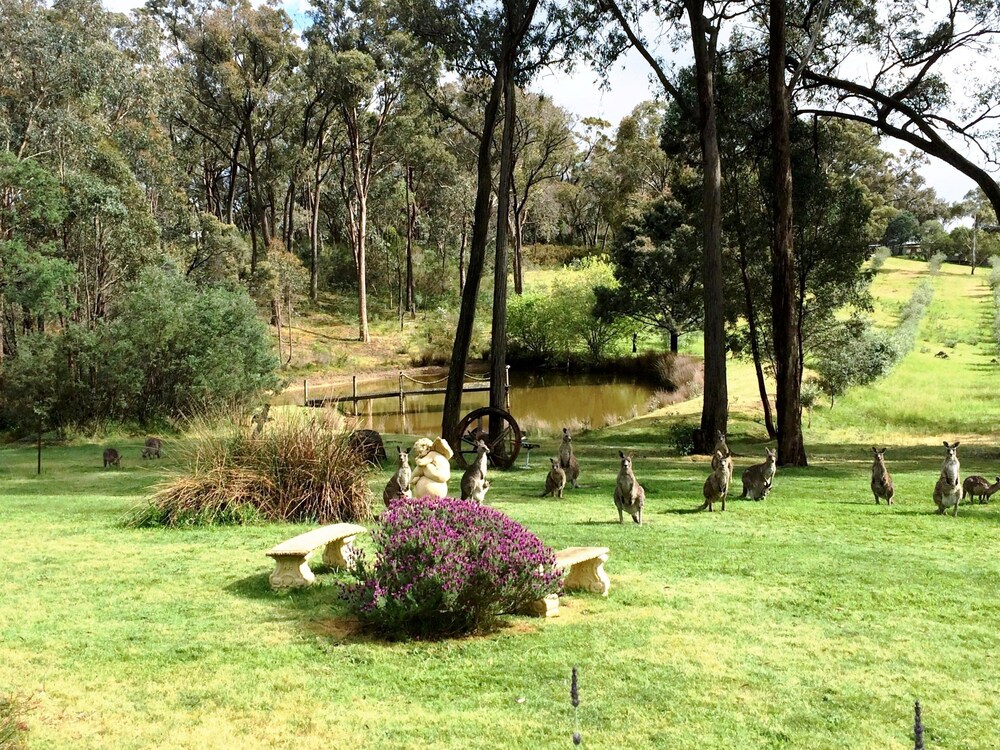 Countryside Connections Tranquil Studio