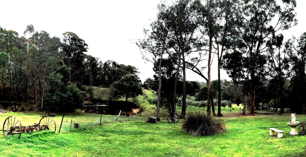 Countryside Connections Tranquil Studio