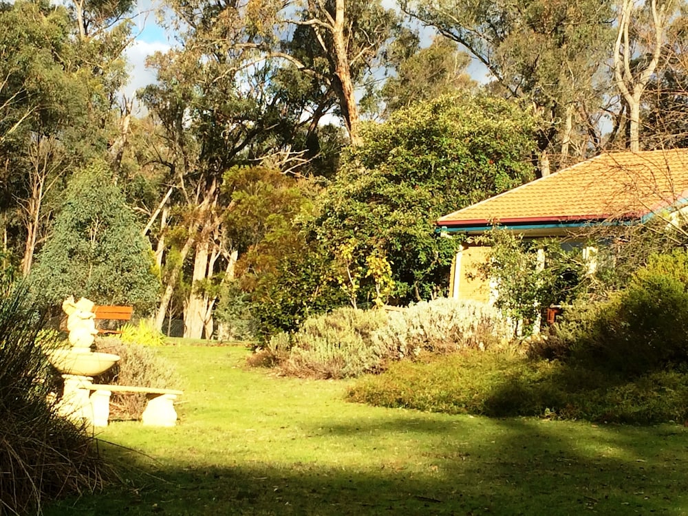 Countryside Connections Tranquil Studio