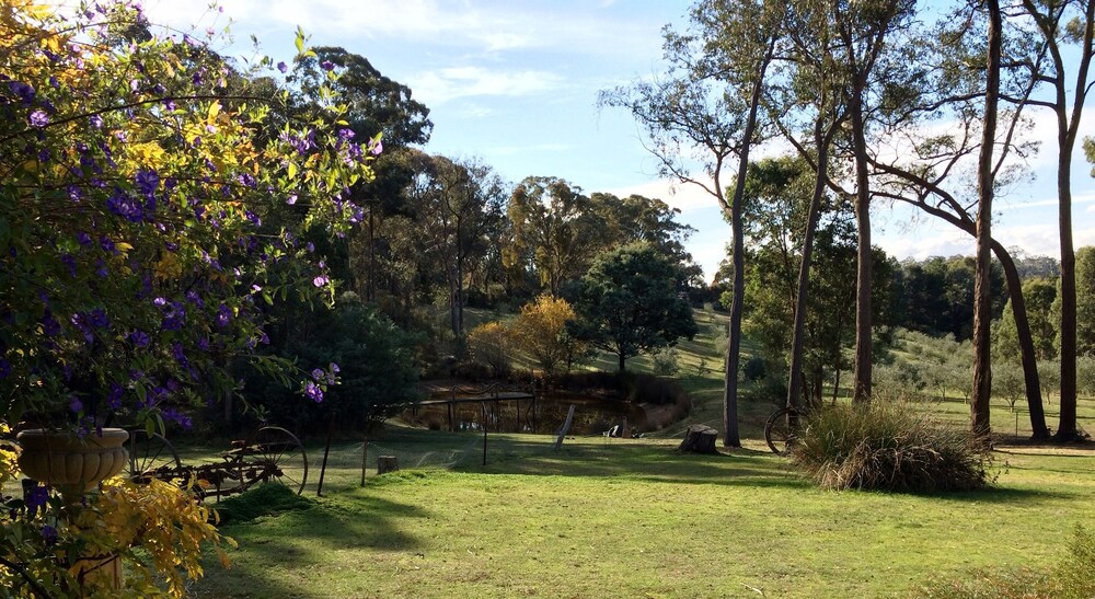 Countryside Connections Tranquil Studio