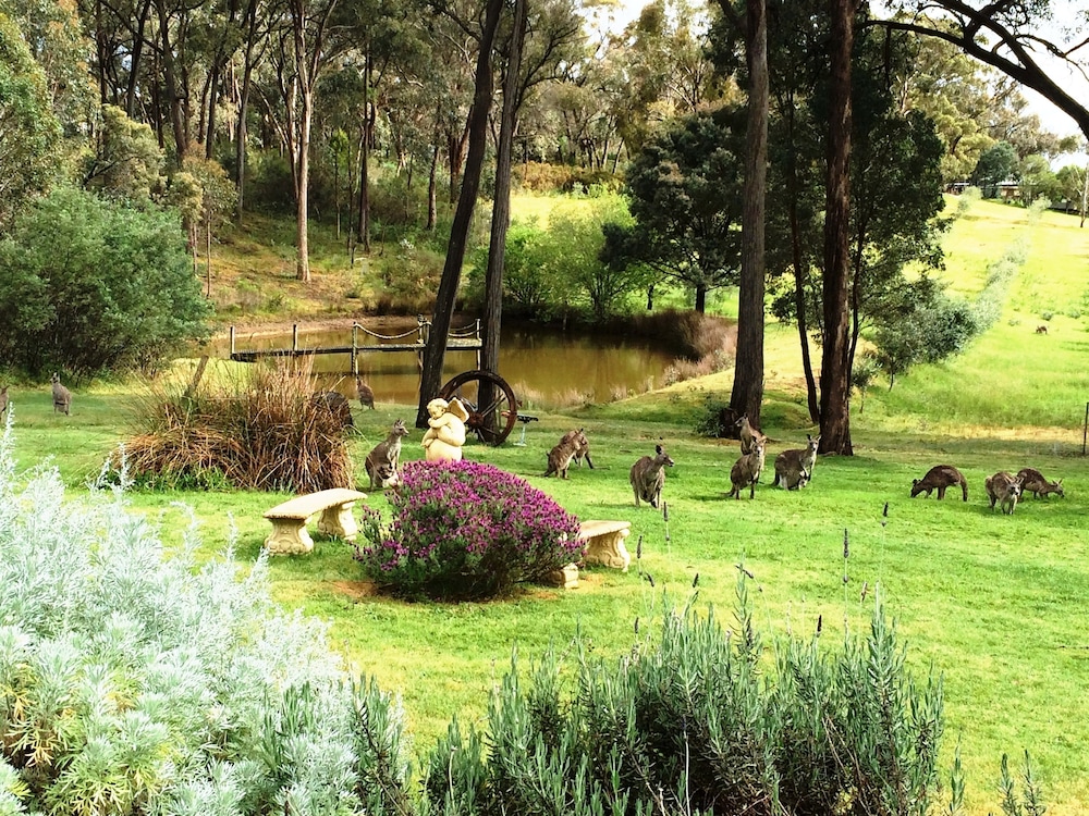Countryside Connections Tranquil Studio
