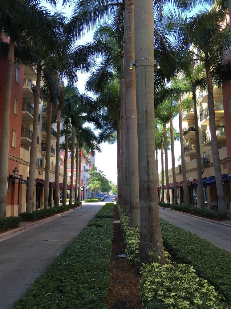 LYX Suites at Merrick Park in Coral Gables in Miami Best Rates