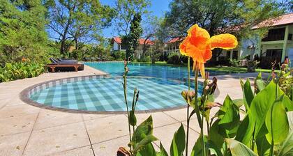 Blue Turtle Hotel