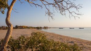 Sulla spiaggia, immersioni subacquee