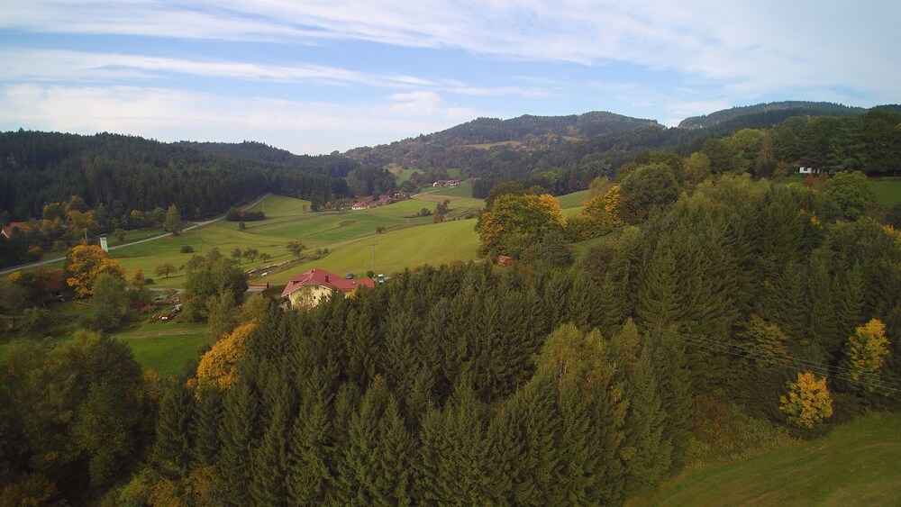 Italienerin Mutter Wald Kuessen
