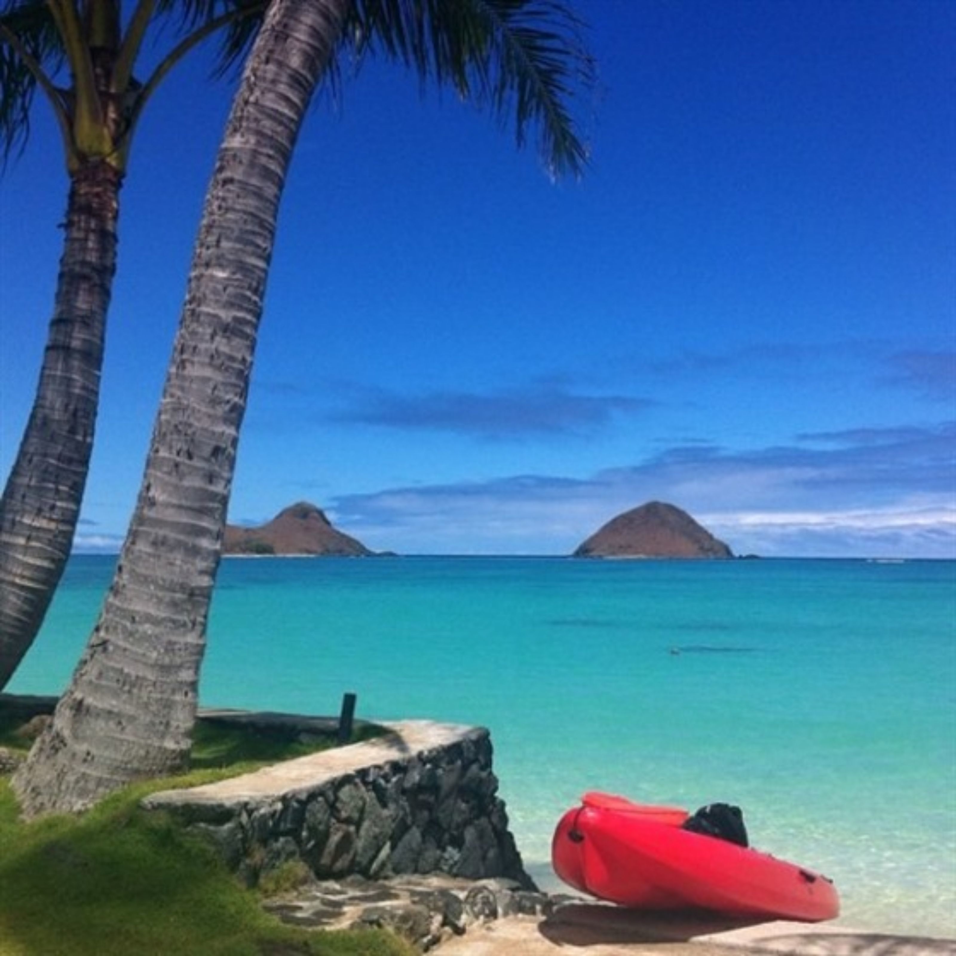 Hawaii's Hidden Hideaway Bed & Breakfast in Kailua-Kona, United States