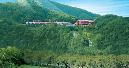 Suanbo Park Hotel