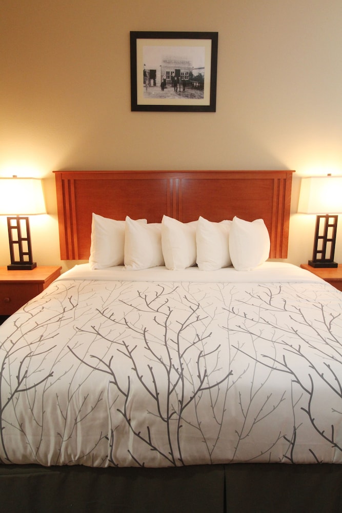 Bowman Lodge & Convention Center in Bowman Best Rates & Deals on Orbitz