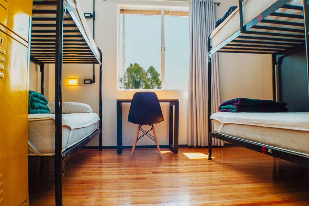 Foto - Hostel Mundo Joven Catedral