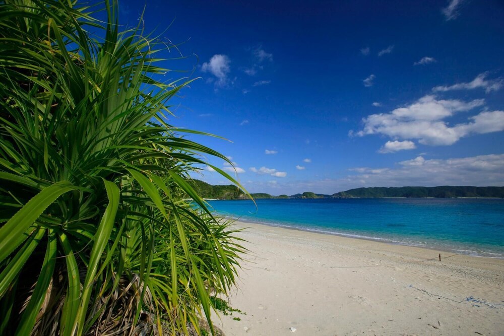 ペンション チャーヴィラ 座間味島 沖縄県 慶良間諸島 おすすめ人気宿泊プラン一覧 トラベルjp