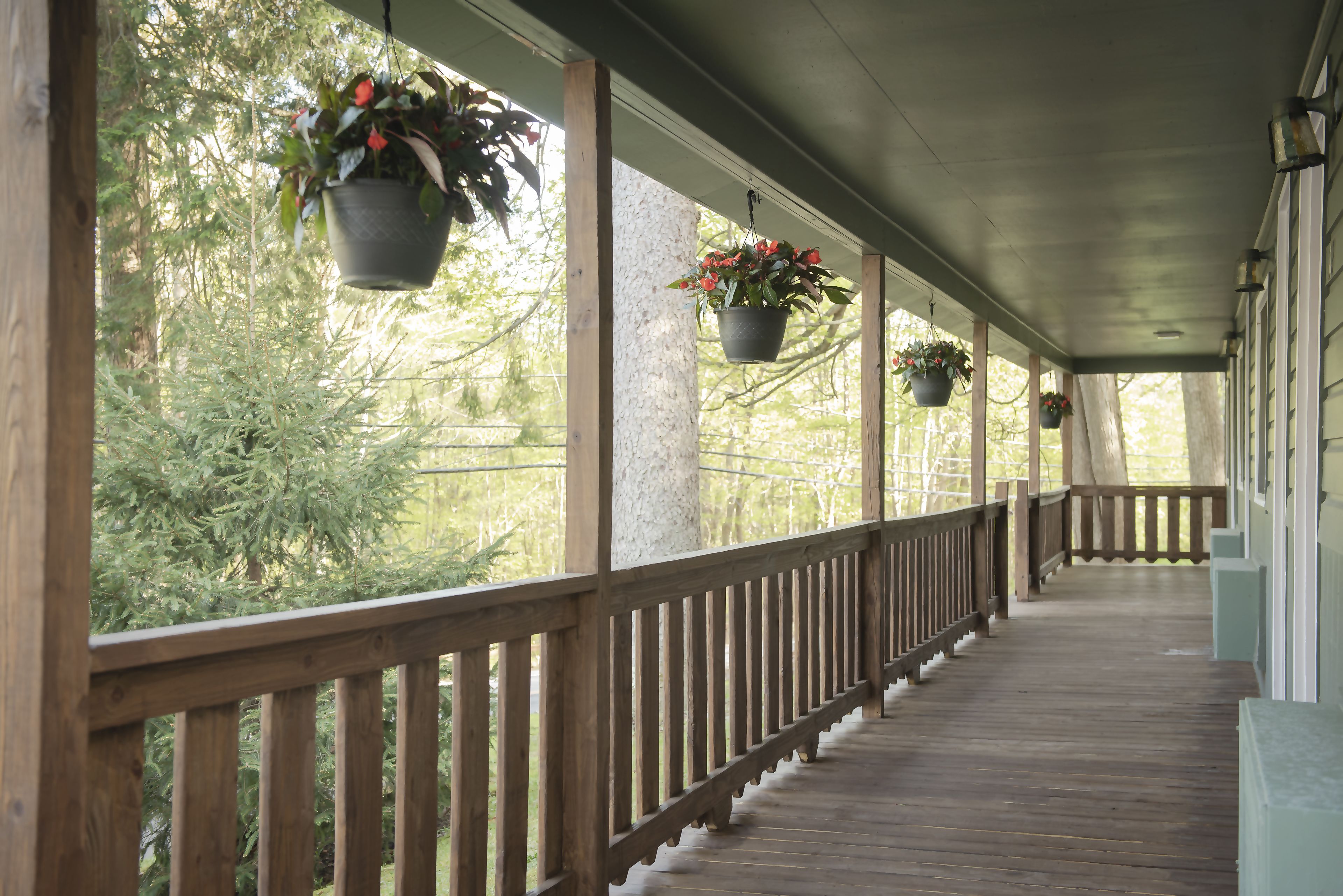 Forest Hill Lodge & Cabins in Lake George, United States