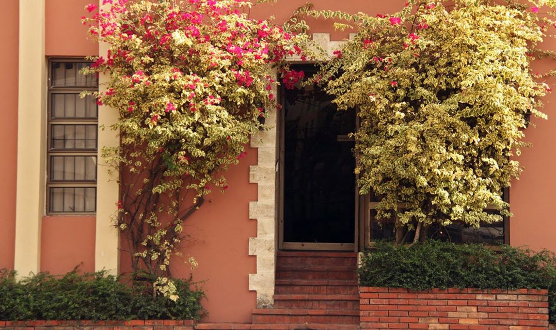 Aparta Hotel Turey In Santo Domingo Dominican Republic Expedia