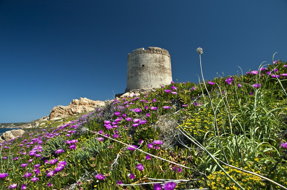 埃索拉罗萨波戈马雷爱琴海玫瑰岛酒店