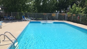Seasonal outdoor pool, sun loungers