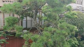 客房景觀