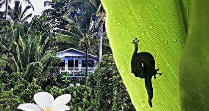 Ma'ukele Lodge
