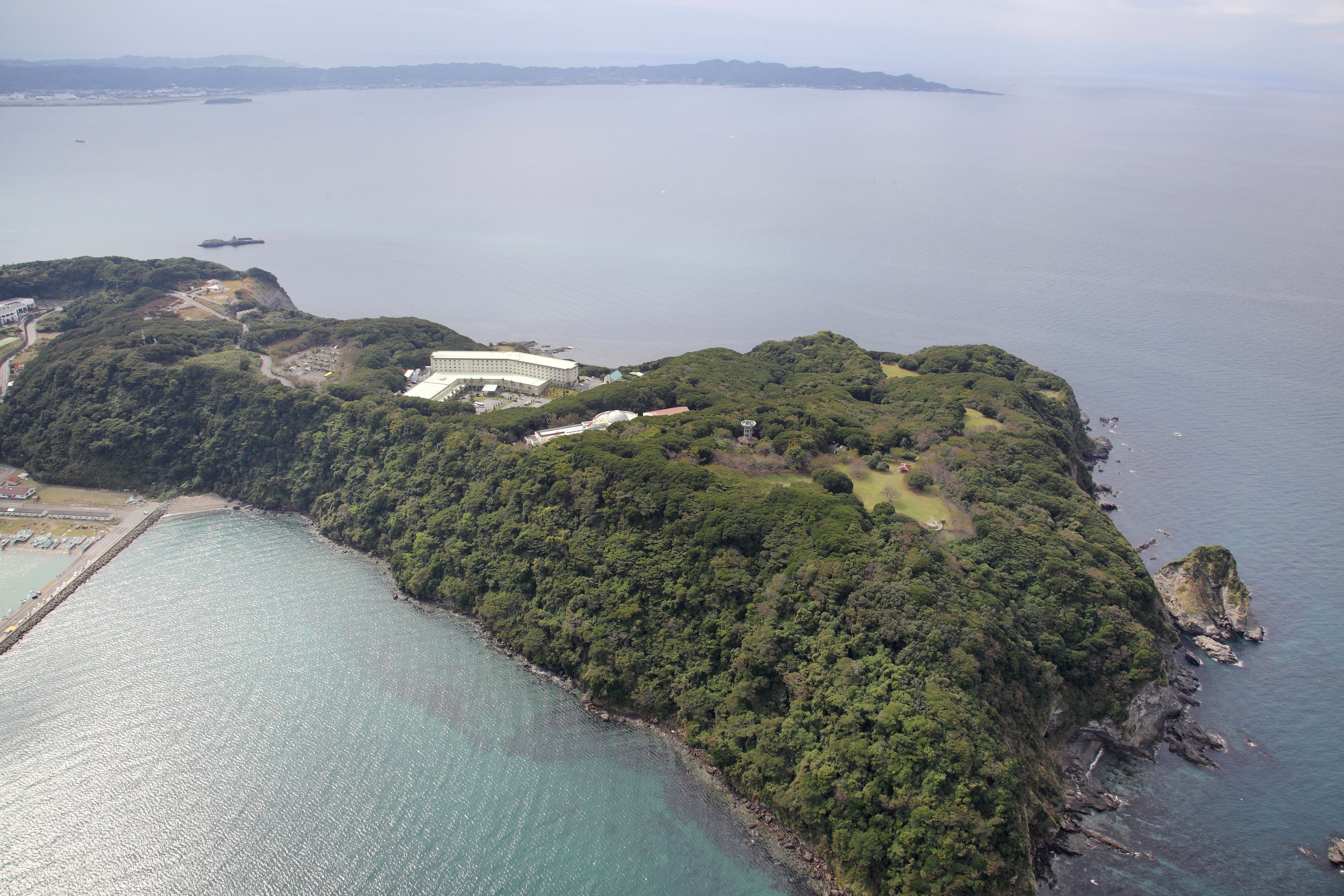 南国リゾートを思わせる南房総で、じゅわっと甘い「房州びわ」を満喫する旅