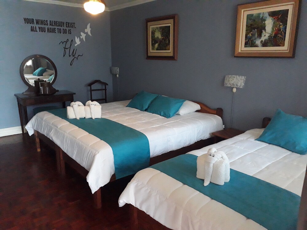 Hotel La Rosa Del Paseo In San Jose Hotel Rates Reviews - 