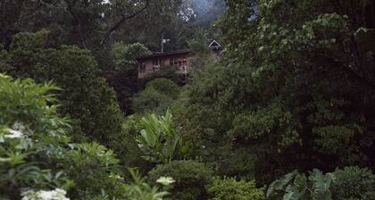Cedrela Ecolodge