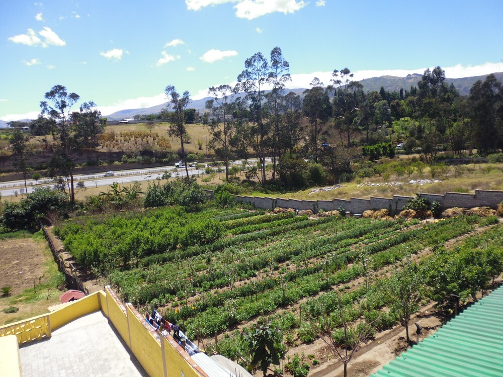 View from property, Hotel Residencial El Viajero