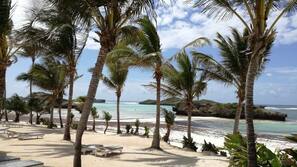 Plage privée, sable blanc, bar de plage