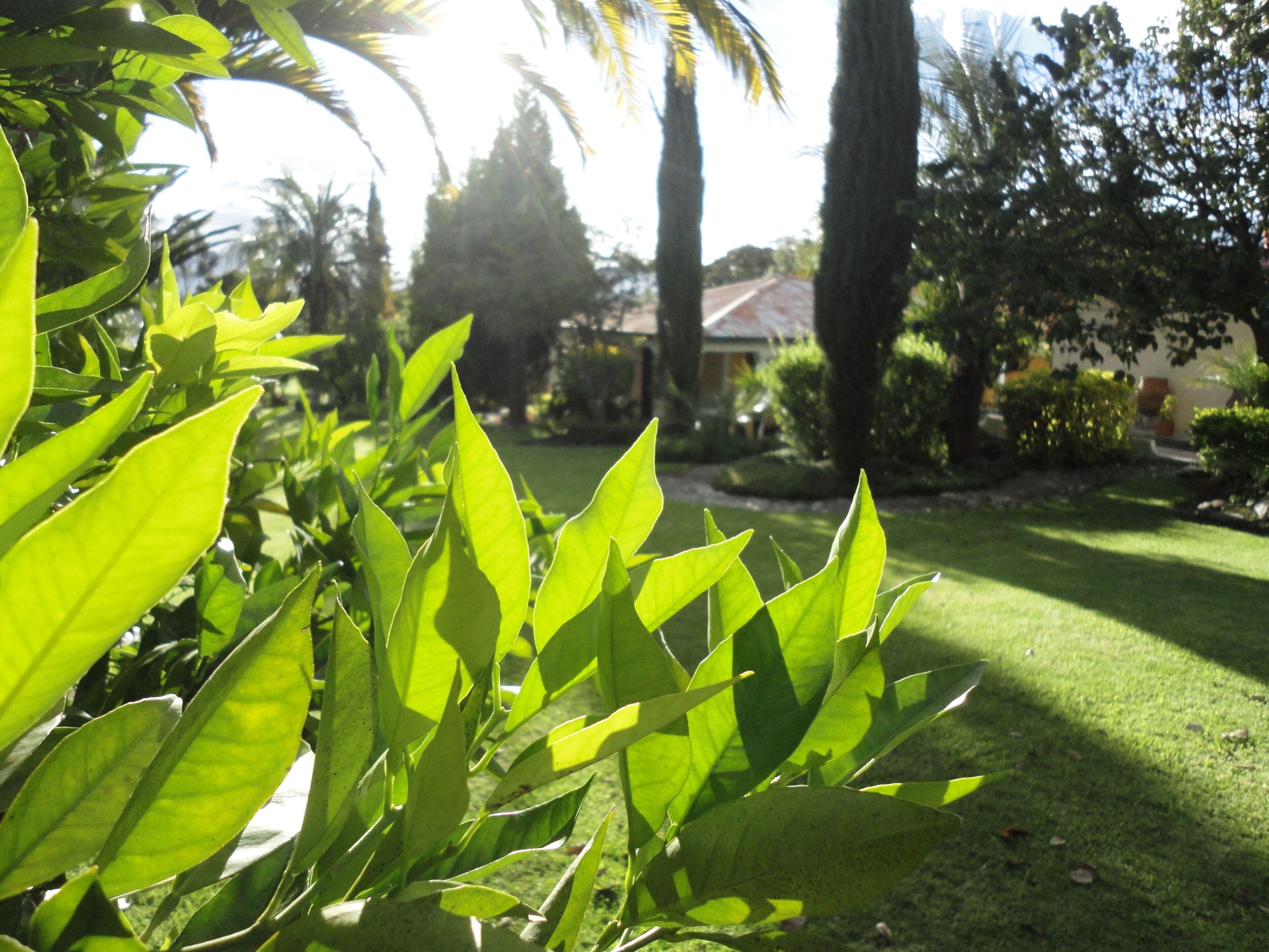 Quinta Natura Hotel in Checa, Ecuador