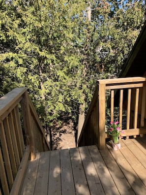 Premier Studio Suite | Terrace/patio