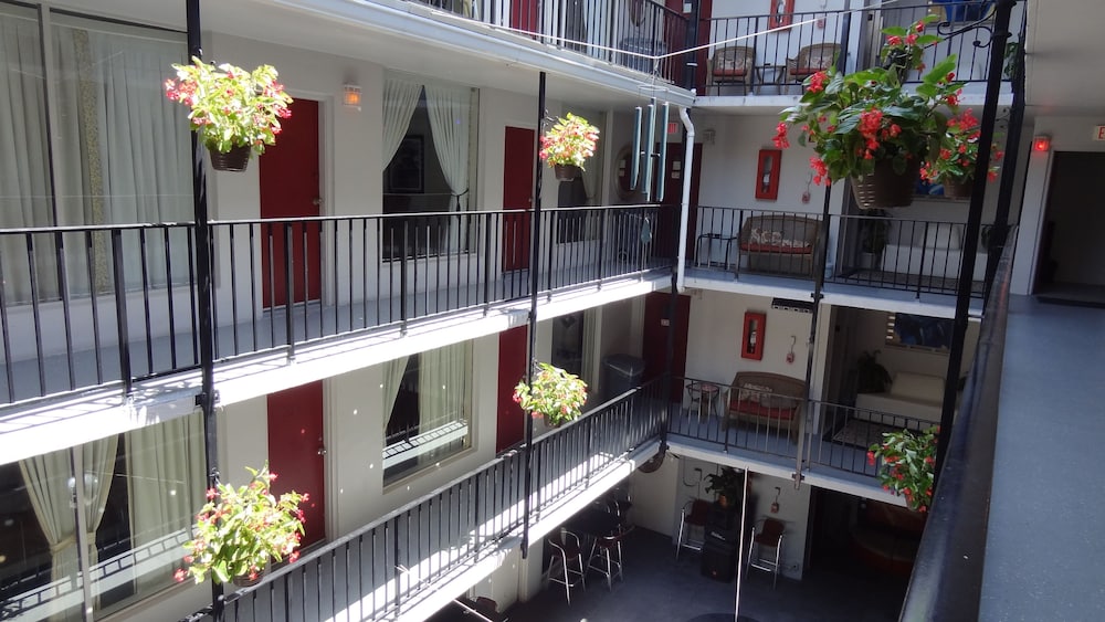 Rooftop Resort Clothing Optional Adult Only, Fort Lauderdale 219